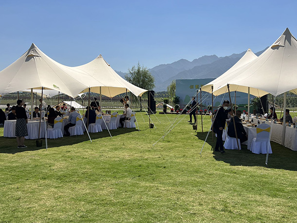 canopy  marquee canvas